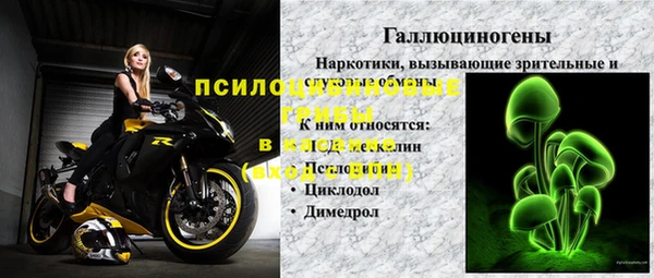 дурь Вяземский