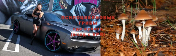 ALPHA PVP Сясьстрой