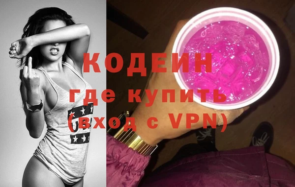 дурь Вяземский