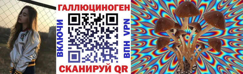 Псилоцибиновые грибы Psilocybe  купить наркотики сайты  Иланский 